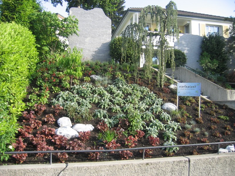 Bepflanzen von Böschungen, Dachflächen und Fassaden