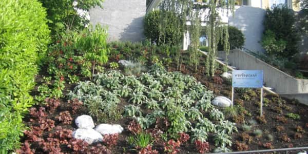 Bepflanzen von Böschungen, Dachflächen und Fassaden