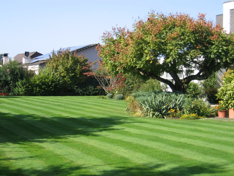 Ob Rasenmähen, Wässern oder Schneeräumung. Wir sind für Sie da