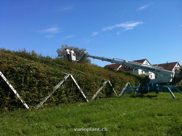 Die Ausladung wird ausgereizt