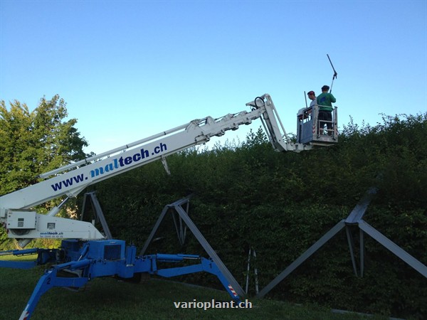 Zu zweit, einer steuert, der andere fährt