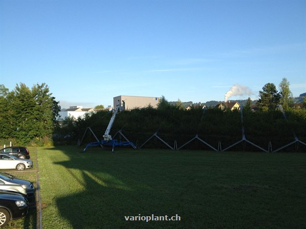 Grosses Objekt für Heckenschnitt