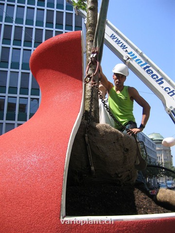 Definitiv: "Er passt!"