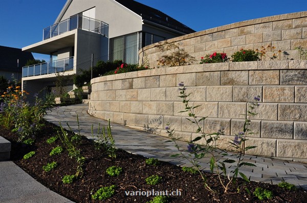 frisch bepflanzte Mauer