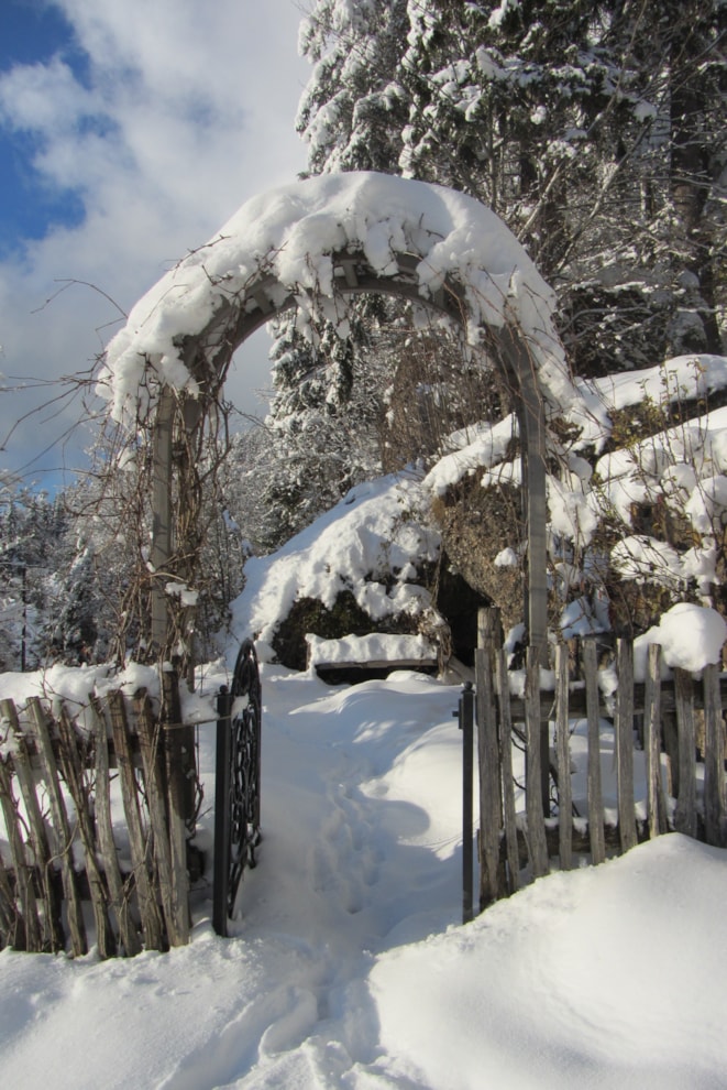 Garten im Winter
