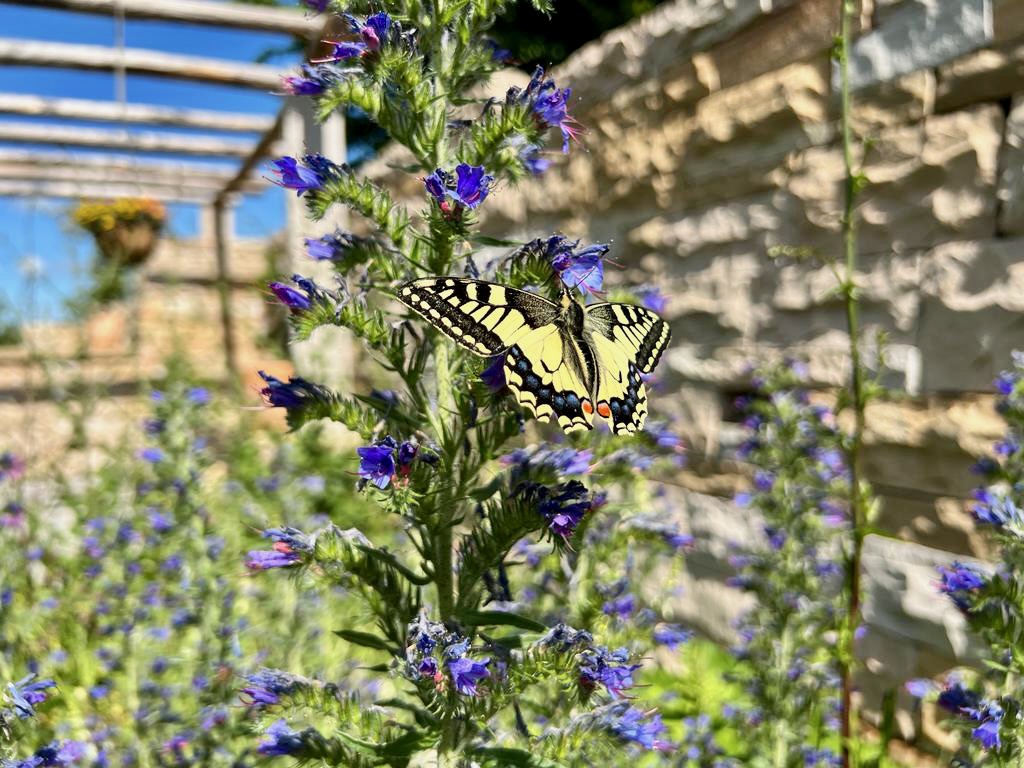 Biodiversität - was bedeutet das?
