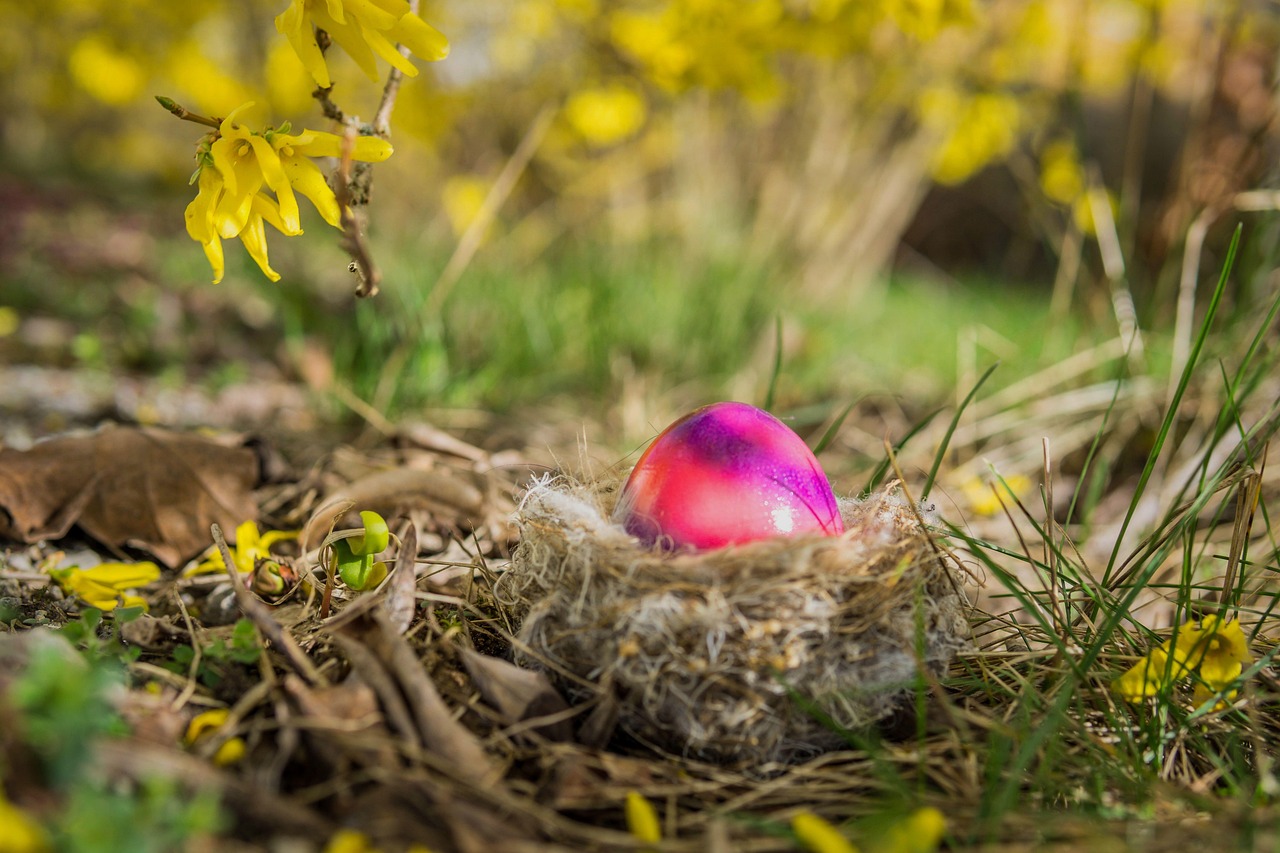 🌸 Frohe Ostern aus dem Gartenparadies St. Gallen