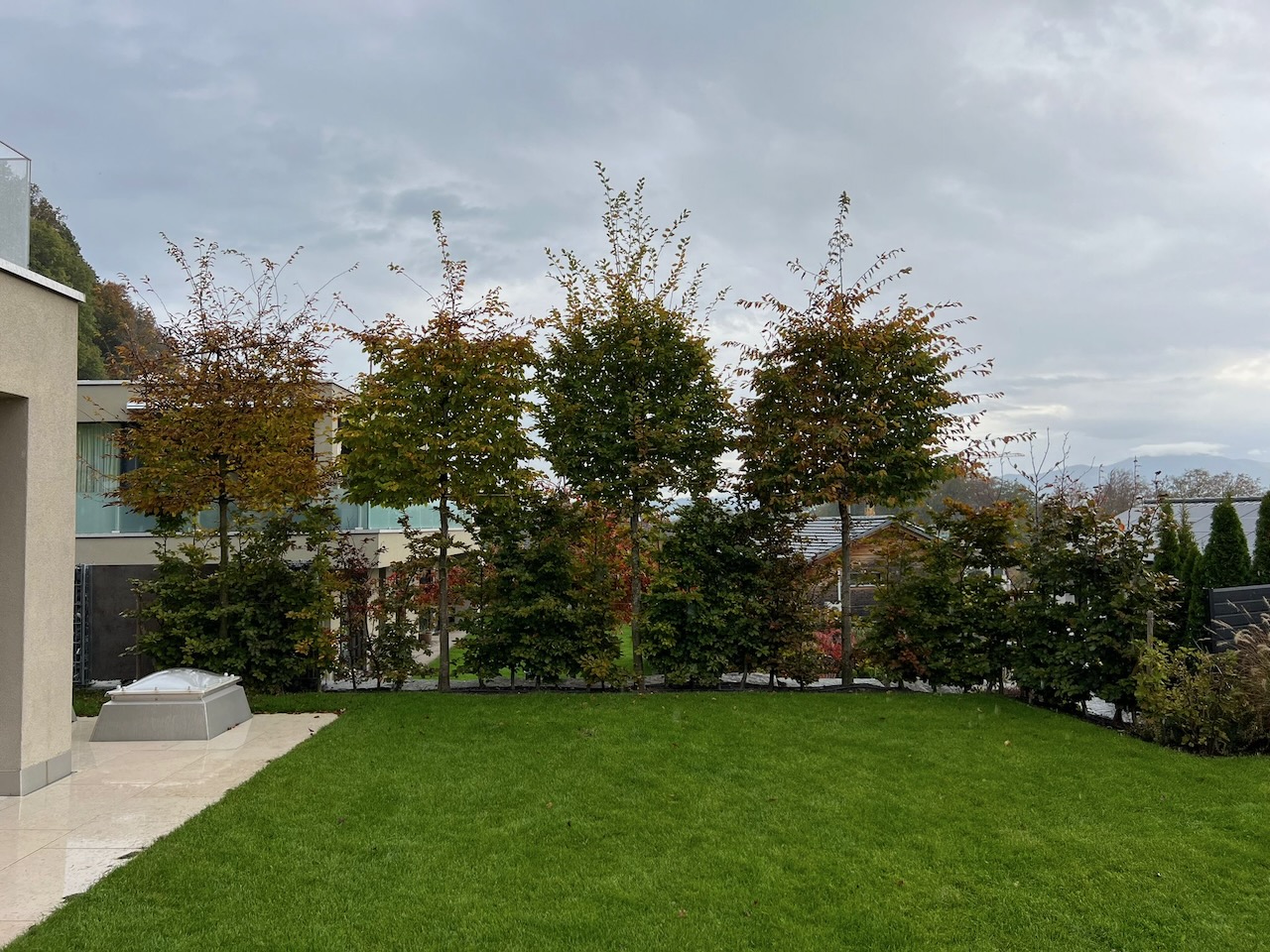 Die Kunst der Spalierbaum-Pflege – So bleibt Ihr Garten das ganze Jahr in Bestform