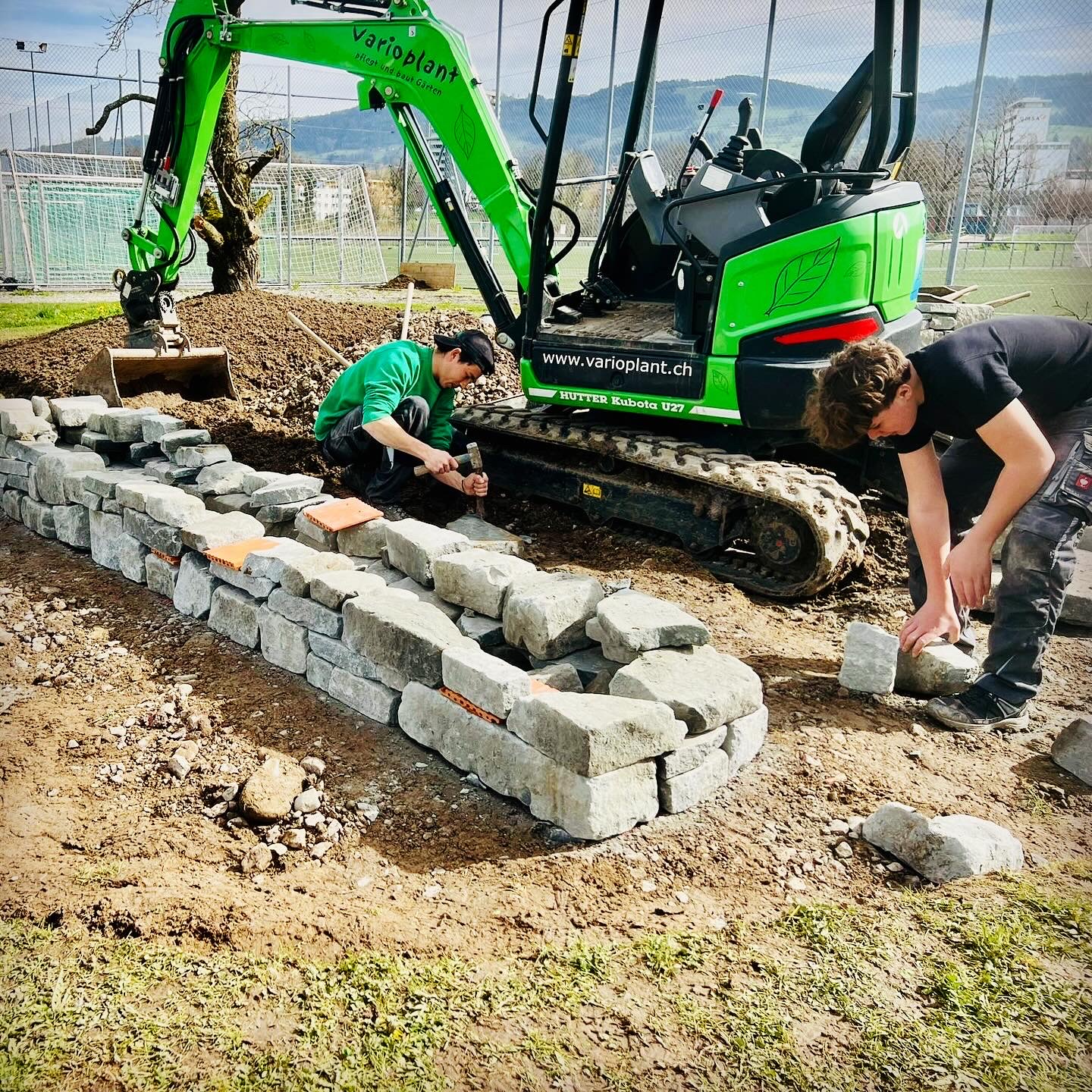 Biodiversität im urbanen Raum