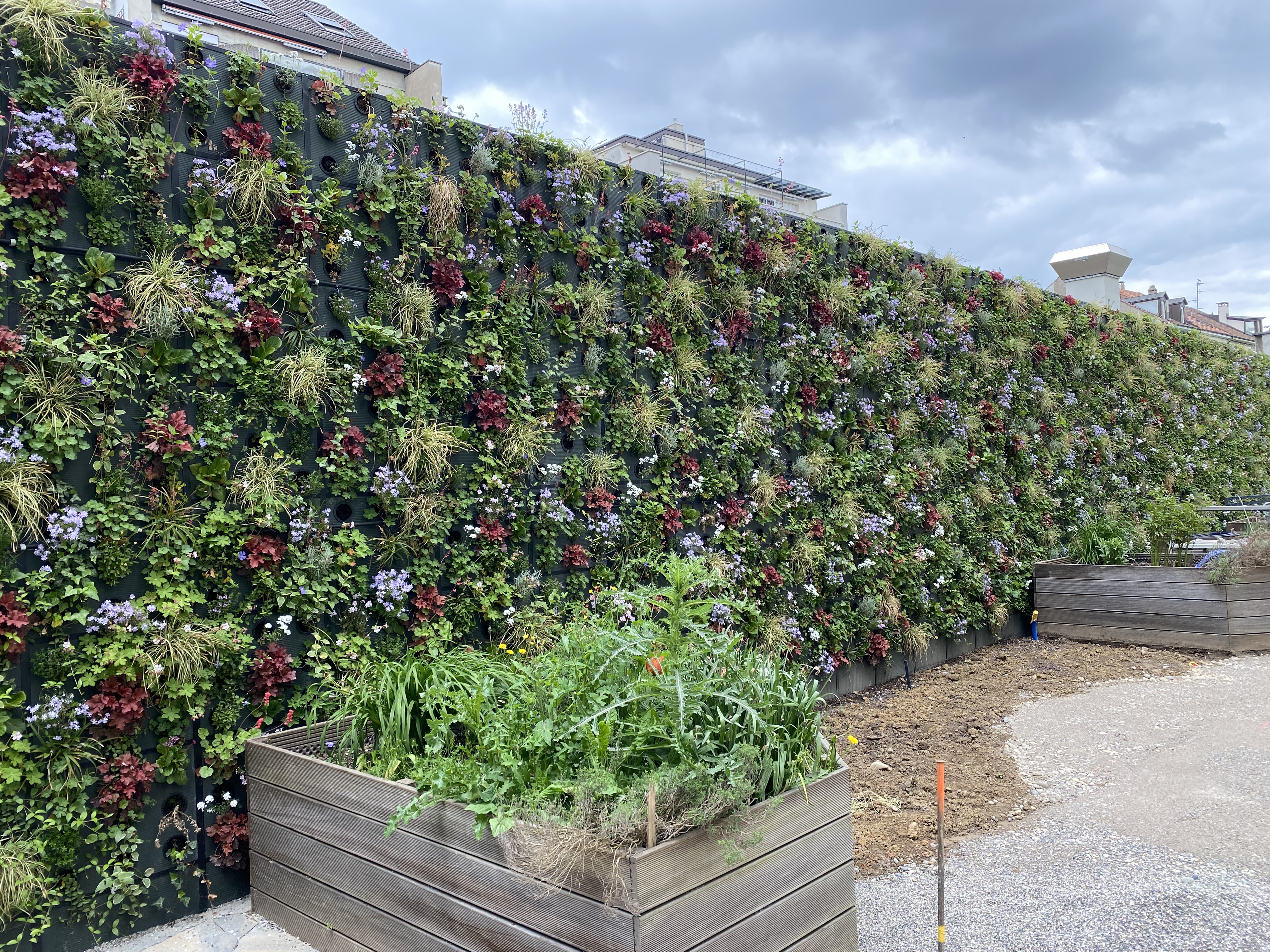 Umweltfreundlich und naturbelassen das Mikroklima und die Biodiversität verbessern!