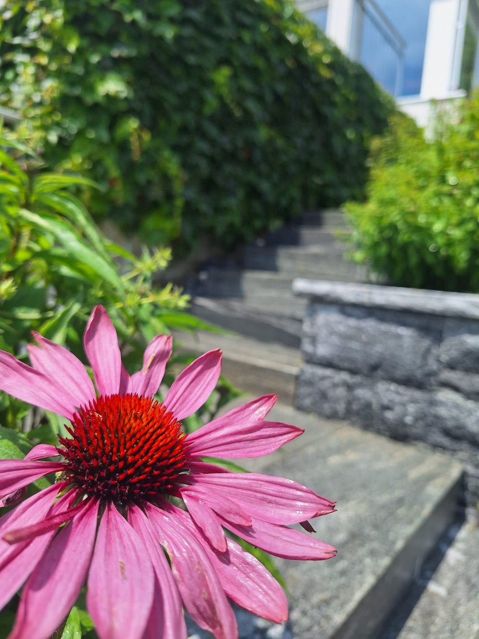 Nachhaltigkeit im Gartenbau: Fachliches Handwerk für eine grünere Zukunft!