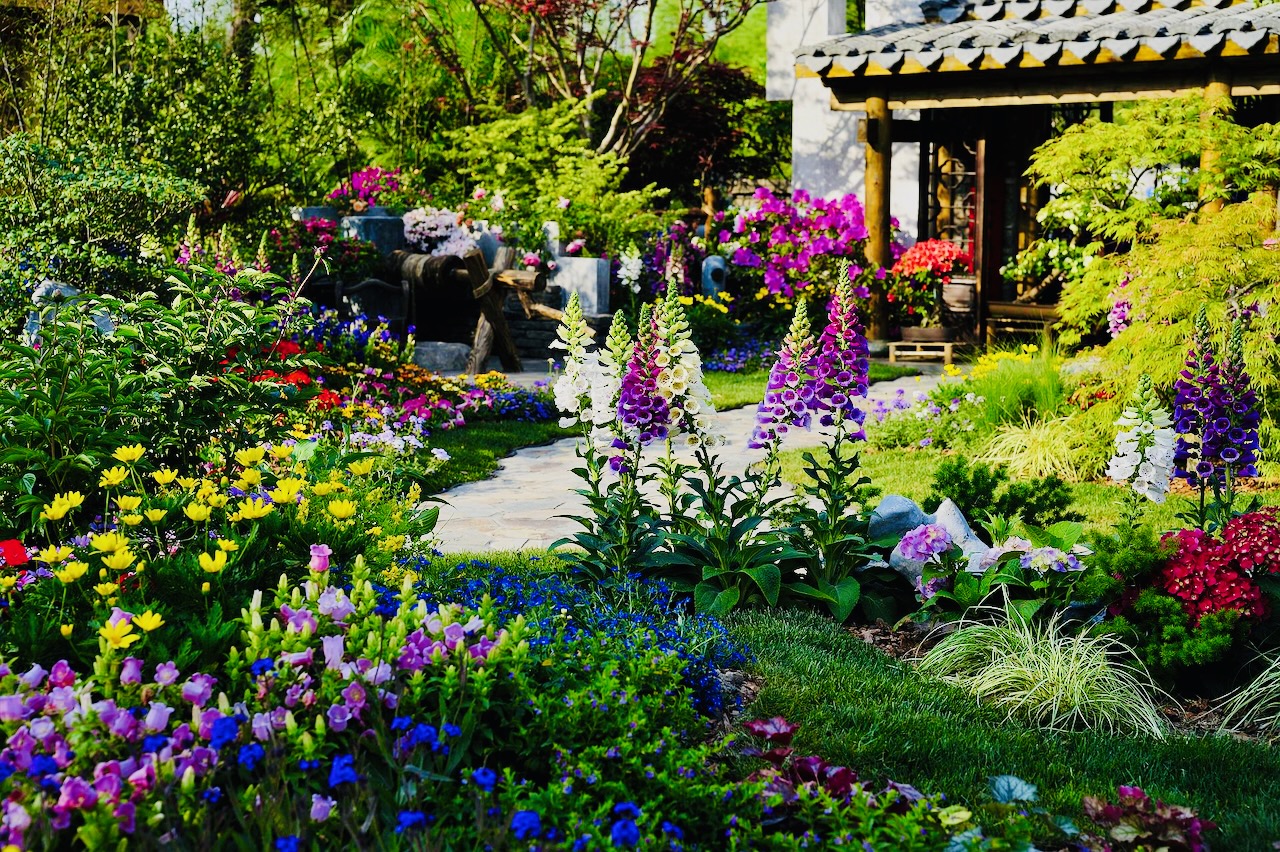 Betongarten vs. Blumengarten