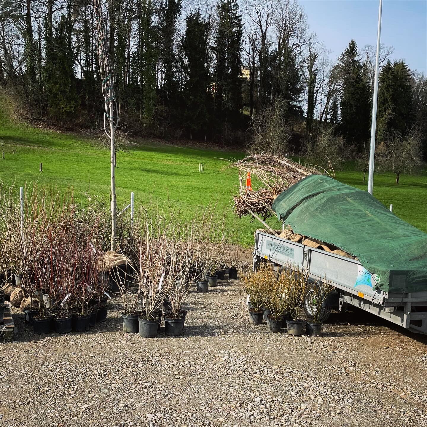 PflanzZeit - Förderung der Biodiversität