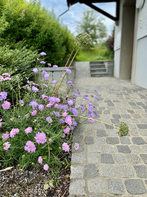 Naturstein & Stauden: Die perfekte Kombination für einen stilvollen Hauseingang