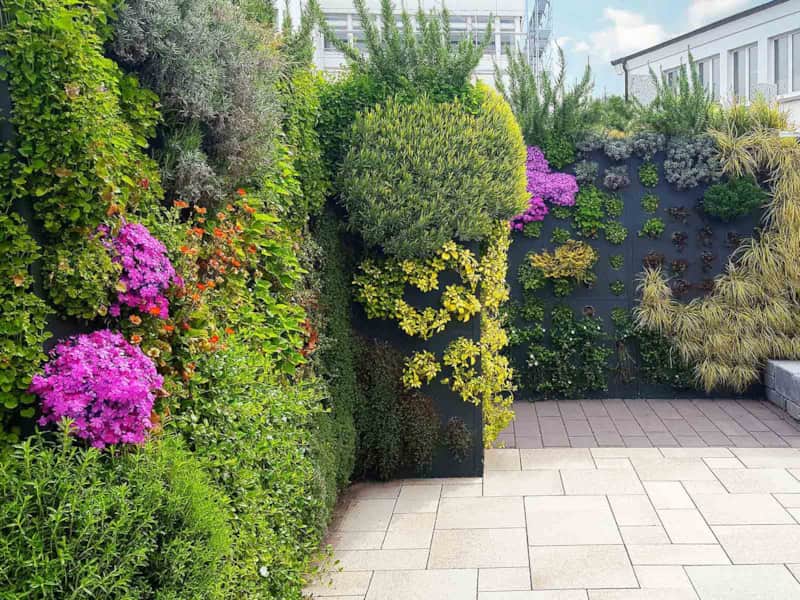 GreencityWALL SWISS