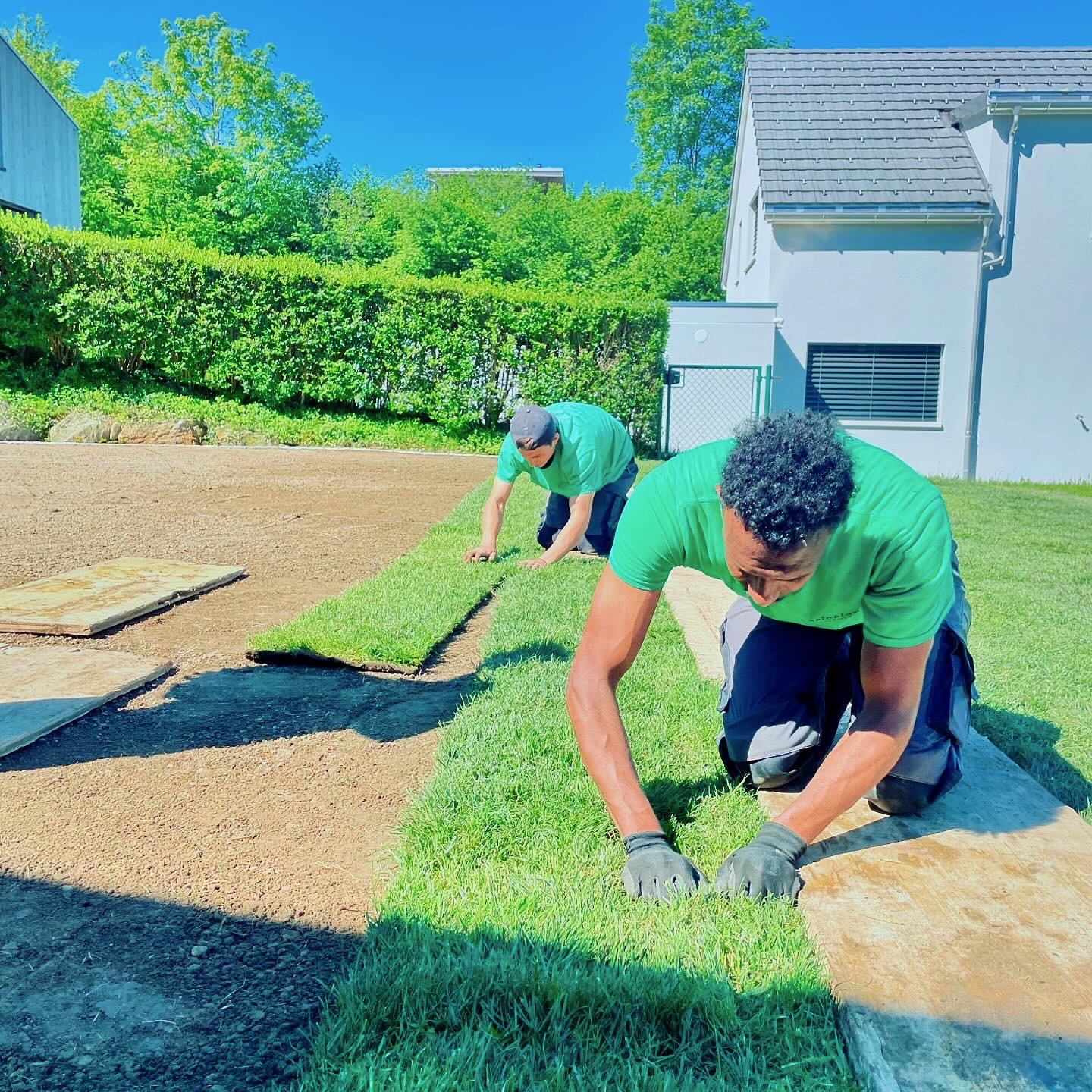 Rückblick 2022 Varioplant - Gartenbau - Gartenpflege - Desjoyaux Pools