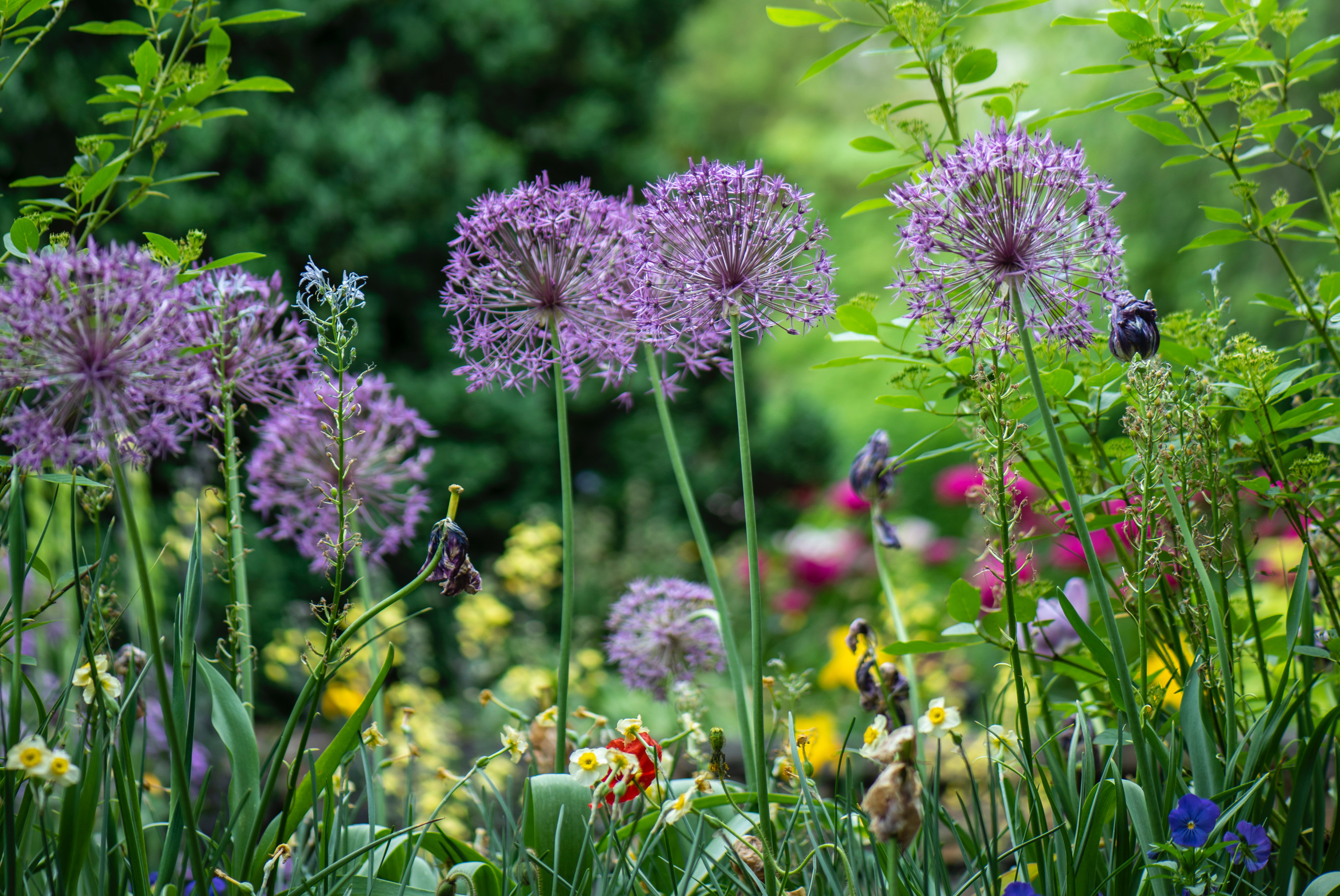 Ihr Garten ist unsere Leidenschaft!