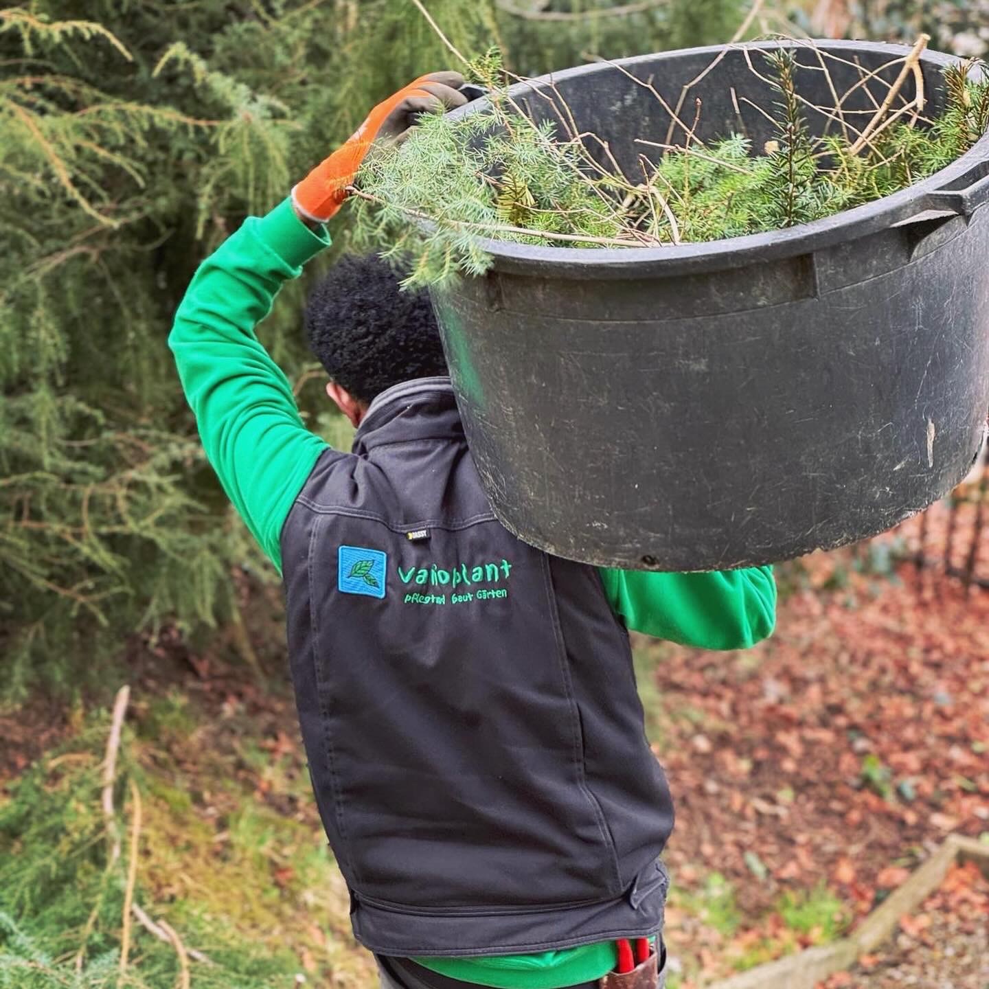 Damit Ihr Garten langfristig schön und gepflegt bleibt, geben wir Ihnen wertvolle Tipps für die richtige Pflege. Auf Wunsch übernehmen wir auch die regelmässige Gartenpflege für Sie – vom Rasenmähen und Düngen über das Schneiden von Sträuchern bis zum Giessen Ihrer Pflanzen und vielem mehr.

Erfahren Sie mehr über unsere Gartenpflege.