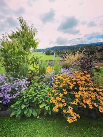 „Die Hecken sind geschnitten, der Rasen gemäht und die Rosenrabatte blüht und duftet.“