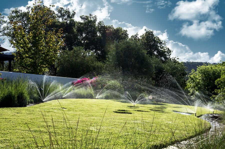 Individuelle Bewässerung spart Wasser und optimiert das Pflanzenwachstum