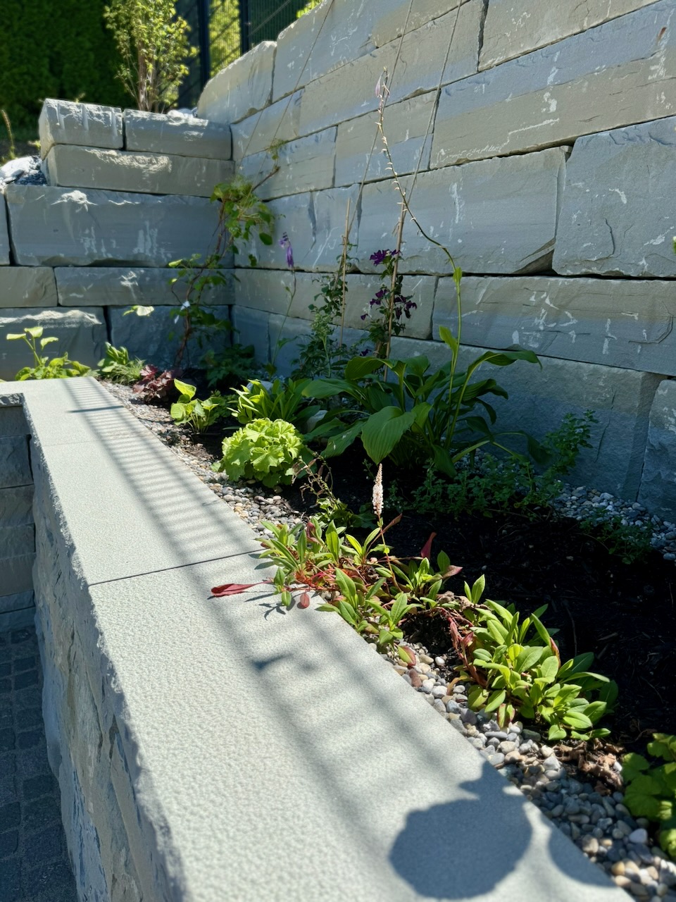 Wie ein neuer Garten ensteht im Zeitraffer