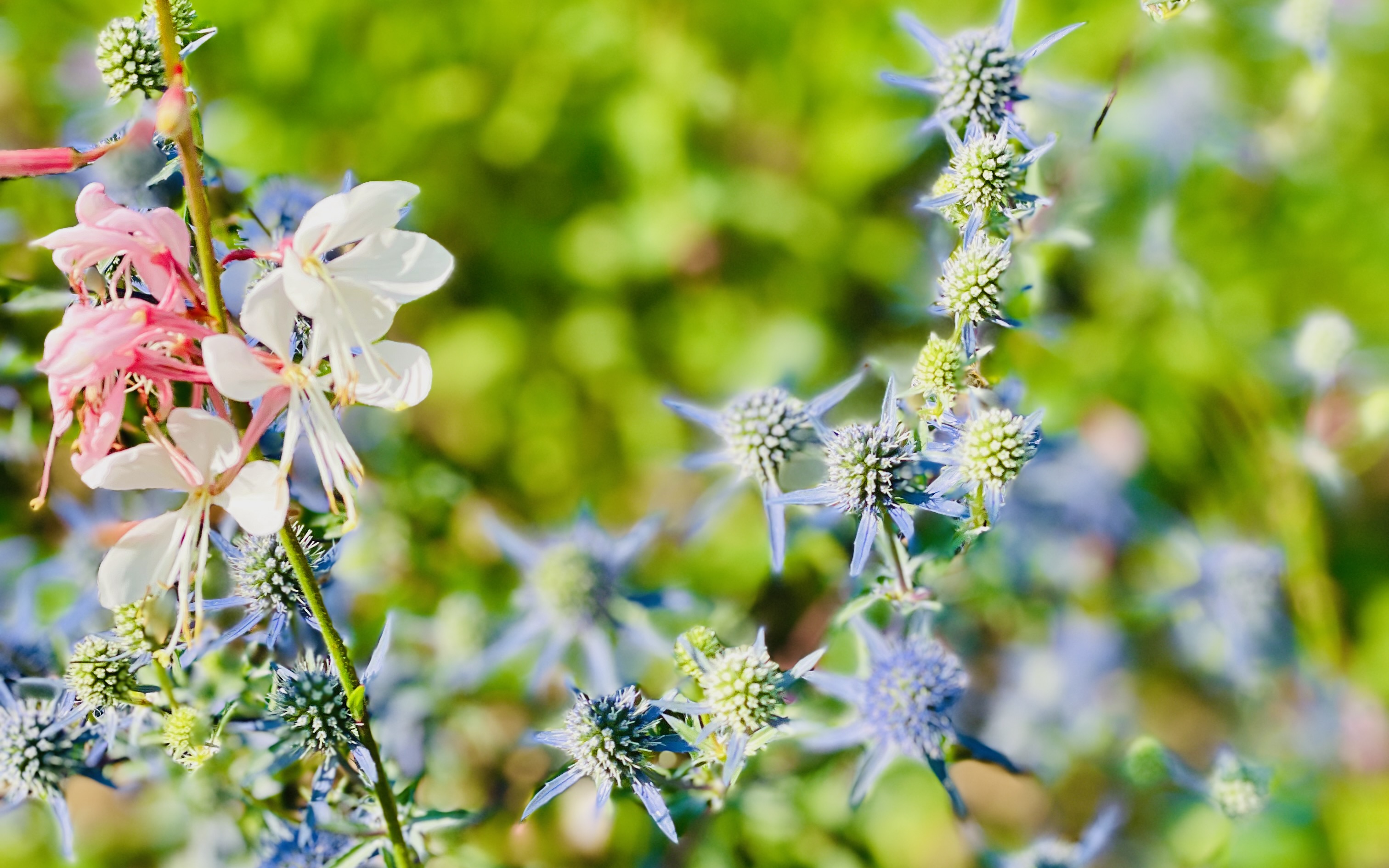 Gartenbau, Gartenpflege und Poolbau in St. Gallen und der Ostschweiz