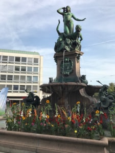 Blühende Brunnen Stadt Sankt Gallen