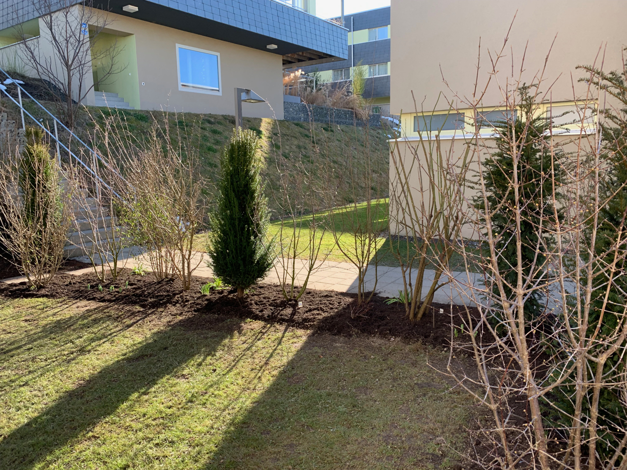 Winterschnitt & Pflanzungen