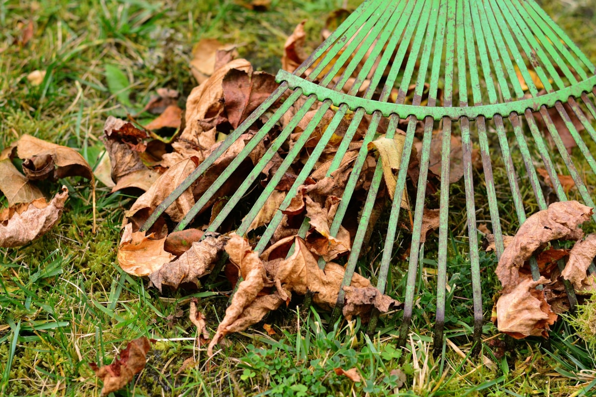 Garten winterfest machen